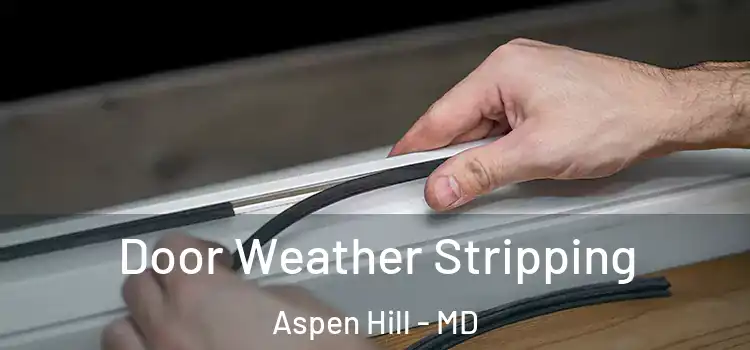Door Weather Stripping Aspen Hill - MD