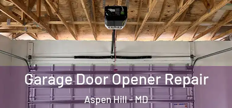 Garage Door Opener Repair Aspen Hill - MD