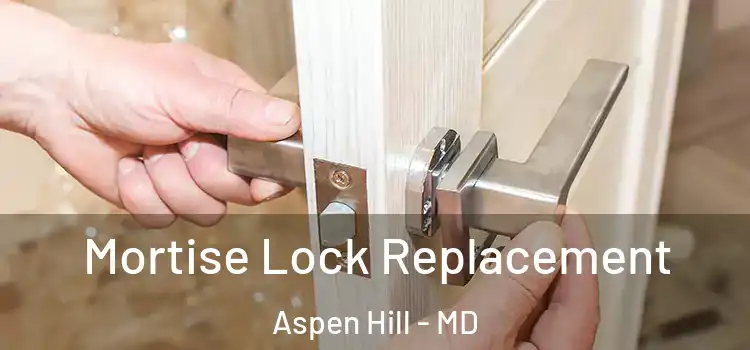 Mortise Lock Replacement Aspen Hill - MD