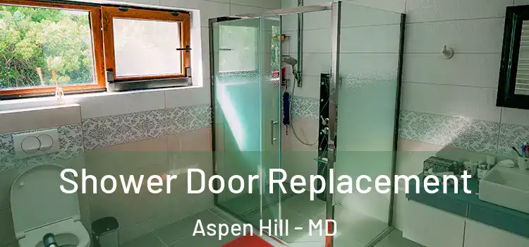 Shower Door Replacement Aspen Hill - MD